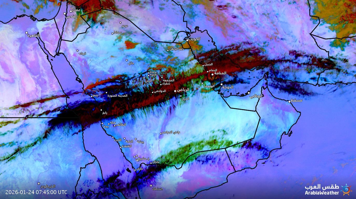 ���� ������ ������